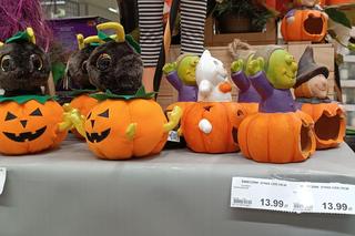 Te rzeczy są idealne na jesień. Każda jesieniara musi je mieć