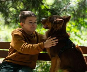 	Barwy szczęścia odc. 3107. Ksawery (Bartosz Gruchot)