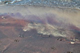 Fioletowy piasek nad Bałtykiem 