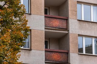 Mozaika z końmi na Zgody 6 w Warszawie