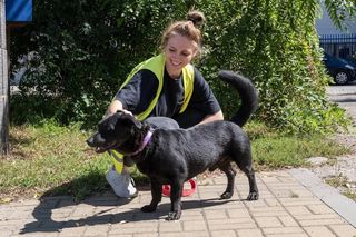 Ten rok należał do łódzkiego schroniska! Rekordowa liczba adopcji, remont i dużo rąk do pomocy