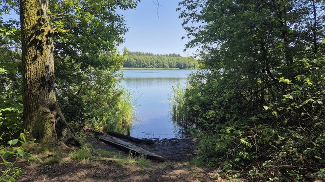 To jedno z największych jezior w Olsztynie. Kusi turystów piaszczystymi plażami