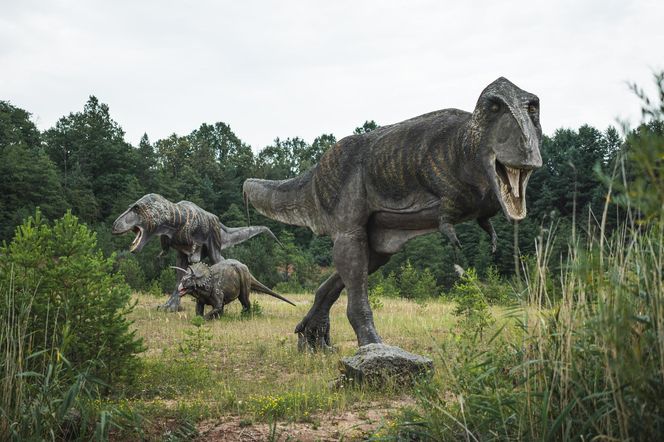 JuraPark w Krasiejowie. Podróż w czasie o miliony lat tylko godzinę drogi z Katowic