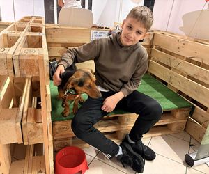 Akcja adopcyjna Fundacji Dobre Ludki w Grudziądzu