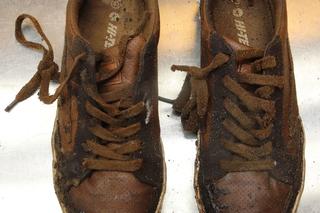 Zmumifikowane zwłoki w Sosnowcu