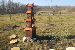 Czy  wiosna ostatecznie pokonała zimę? Pytamy Jarosława Mikietyńskiego z Ogrodu Botanicznego Instytutu Hodowli i Aklimatyzacji Roślin w Bydgoszczy