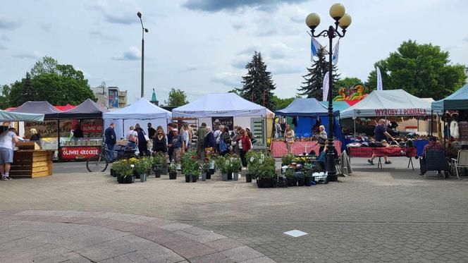 Stoiska wystawców podczas Jarmarku św. Stanisława można zwiedzać w godz. 10.00-18.00 w dn. 10 i 11 maja