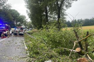Drzewo spadło na busa służby drogowej. 56-latek nie żyje, cztery osoby ranne
