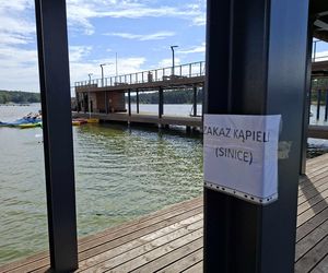 Sinice nad Lubianką