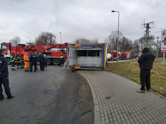 Wypadek ciężarówki przewożącej świnie w Wierzbicy koło Serocka