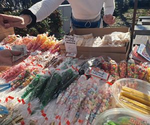 Wszystkich Świętych 2025 w Krakowie