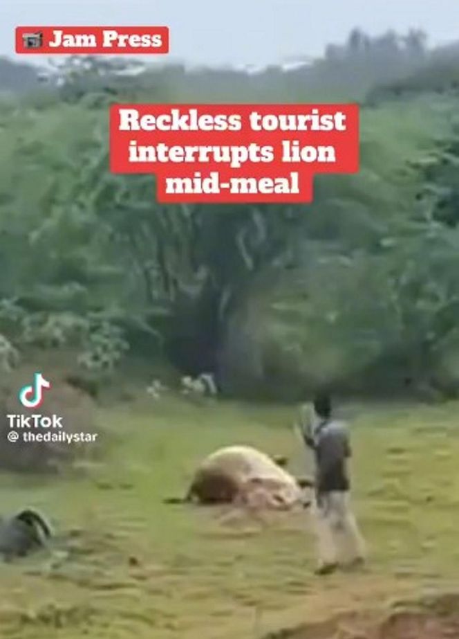 Turysta zobaczył lwa i naprawdę to zrobił! Zobacz, co stało się później
