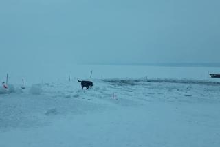 Niesamowite lodowe rzeźby nad jeziorem Niegocin. Wandale zniszczyli pracę giżyckich morsów