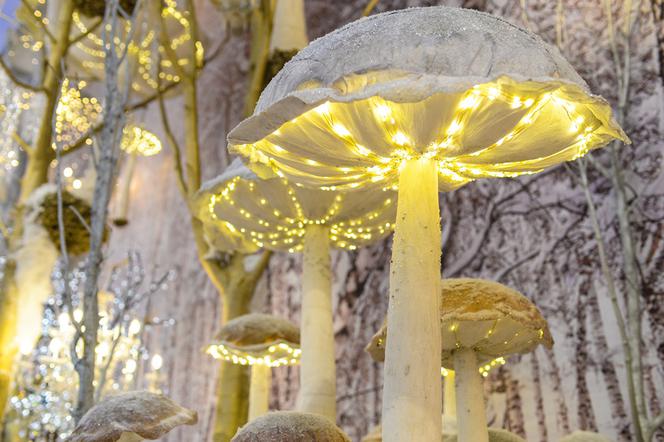 Christmasworld