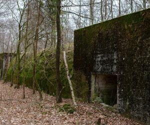  AI wskazała najgorsze miasto Opolszczyzny. Dramat i marazm, z którego nie ma wyjścia