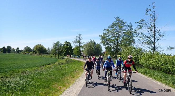 Rowerem pod cisy. Kolejna elbląska Miejska Wycieczka Rowerowa