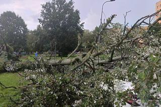 Burze przeszły przez województwo śląskie. Blisko 200 interwencji strażaków. Najwięcej w powiecie raciborskim