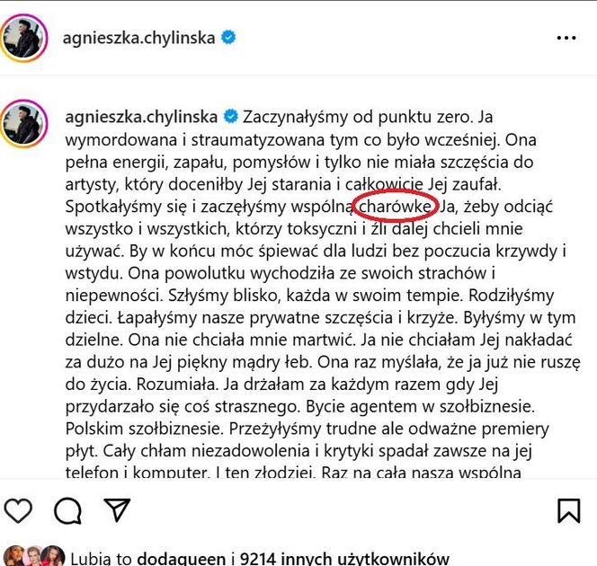 Agnieszka Chylińska wpadka