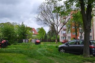Starachowiczanka w akcji