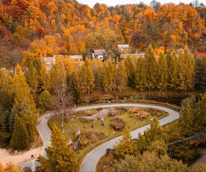 Jura Park w Bałtowie