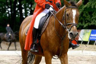  Magdalena Cwen-Hanuszkiewicz nie żyje