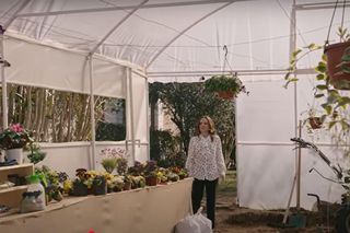 Wichrowe wzgórze - odcinek 90 