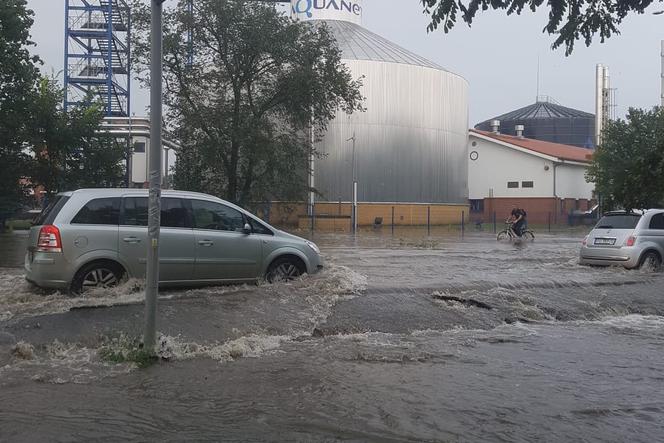 Serbska najbardziej zalewaną ulicą w Poznaniu! Drogowcy zapowiadają, że będzie lepiej!