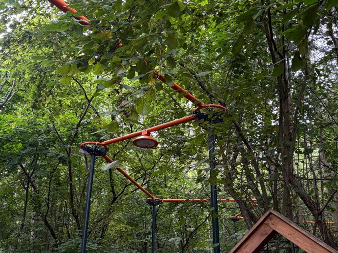 Park Leśny na Oksywiu, Gdynia