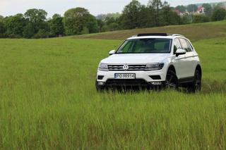 TEST nowy Volkswagen Tiguan 2.0 TDI 150 4Motion DSG Offroad: cyber SUV 