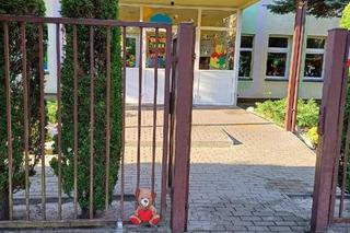 Śmiercionośne winogrona. Ekspertka grzmi! Koniecznie trzeba je tak przekroić przed podaniem