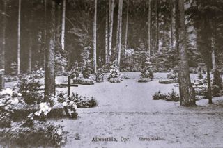 Olsztyńskie cmentarze na dawnych zdjęciach. Tak nekropolie wyglądały ponad 100 lat temu