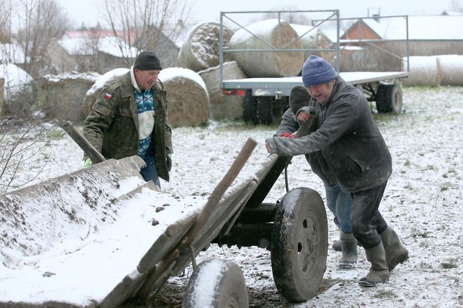 Rolnicy Podlasie. Andrzej z Plutycz oraz jego gospodarstwo