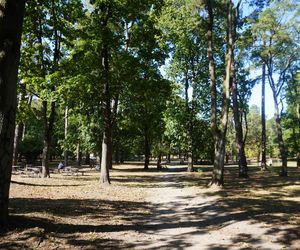 Park Konstytucji 3 Maja