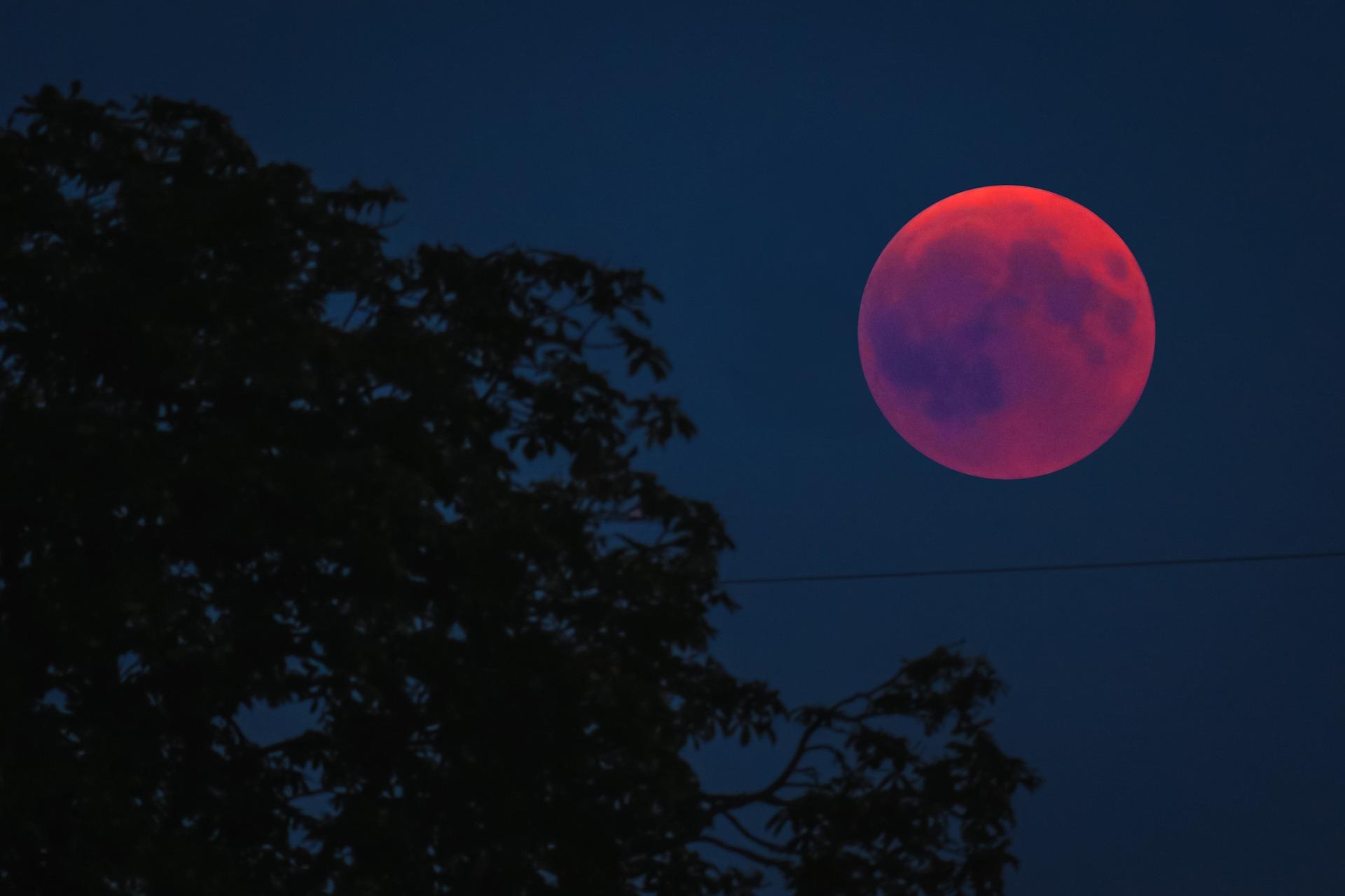 Eclipse lunar 2022. ¿Cuándo aparecerá el eclipse lunar total?  ¿Los veremos en Polonia?  – Súper Expreso