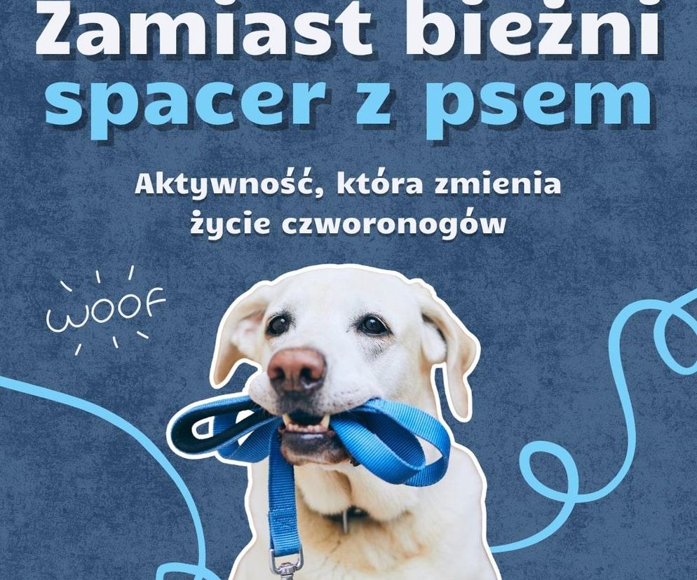 Zamiast bieżni, spacer z psem