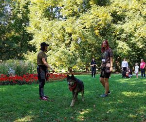 Parkowe łapki - schroniskowe psiaki w parku miejskim w Zamościu