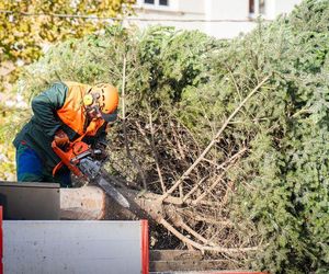 Rybnik szykuje się do świąt Bożego Narodzenia