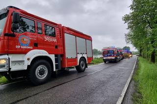 Koszmar w Dankowicach