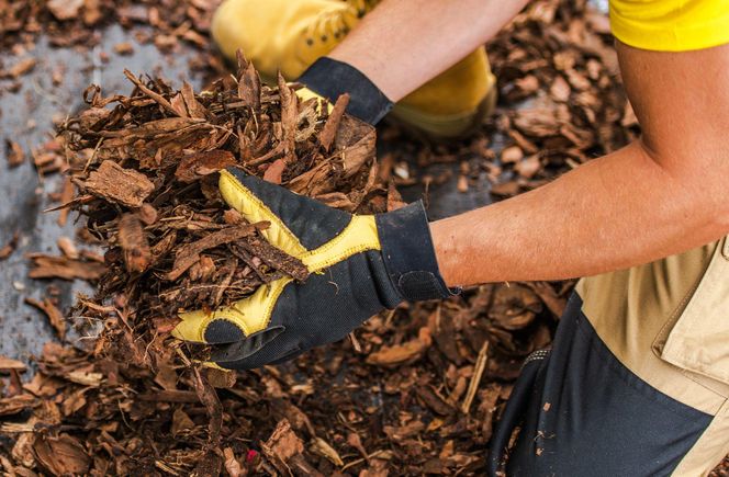 Ściółkowanie korą