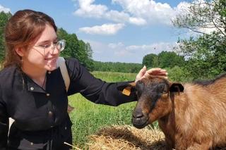 Centrum Integracji Łącznik w Toruniu pomaga dzieciom. Złodziej zaatakował fundację!