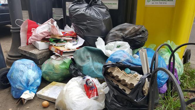 Bydgoszczanie mają już dość! Wciąż toną w śmieciach!