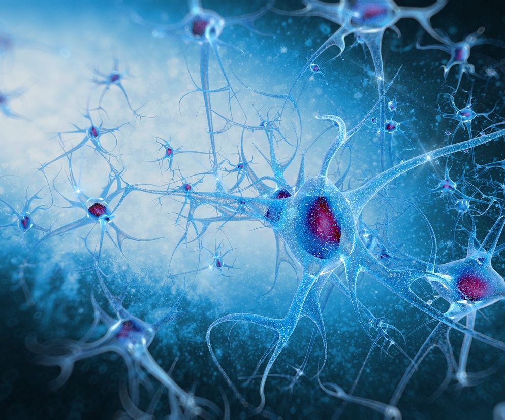 ELEKTRONEUROGRAFIA (ENG) - badanie rozpoznające choroby neurologiczne
