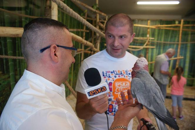 Świętokrzyska Majówka 2023 dla dzieci. Gdzie się wybrać?
