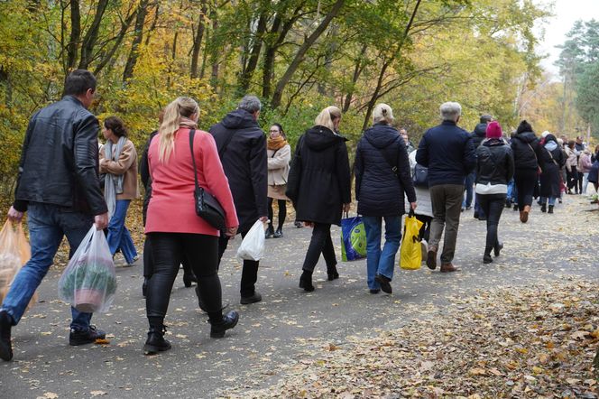 Tłumy na cmentarzu na Miłostowie