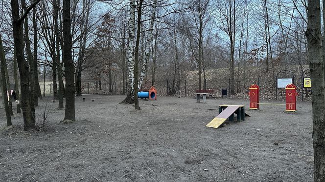 Psi park na ul. Augustów w Łodzi