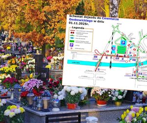Wszystkich Świętych 2025 we Wrocławiu. Zmiany w ruchu i komunikacji
