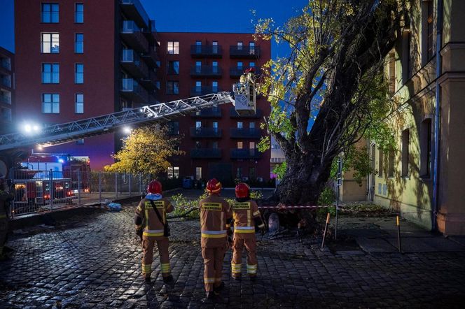 Polska pod naporem wichur! Strażacy nie mieli chwili wytchnienia