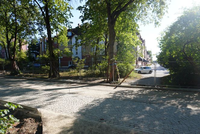 Rewitalizacja Parku Planty w Białymstoku latem 2025