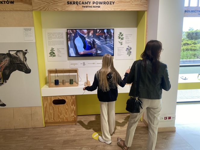 Słoneczny początek wakacji w Olsztynie! Eska Summer City w Kortosferze