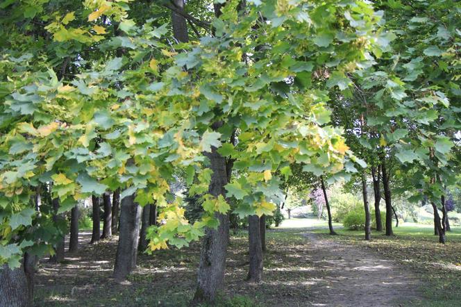 Lubelski skansen zachwyca na początku jesieni!